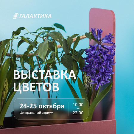 Ищете новые растения для дома или сада?