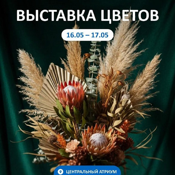 Для тех, кто давно хотел обновить свою коллекцию растений